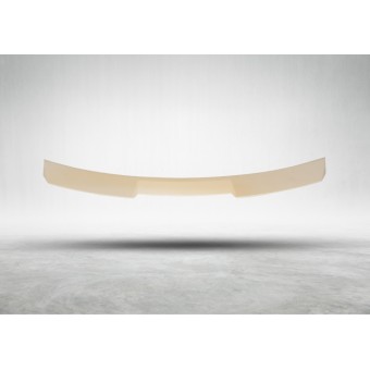 Tavan Spoyleri G20 -///M-